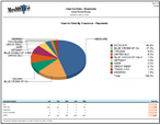 YTD Insurance Payments